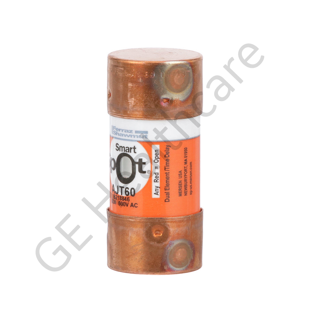 60A, 600 V, 27x60mm Time Delay Fuse for Mains Disconnect Panel